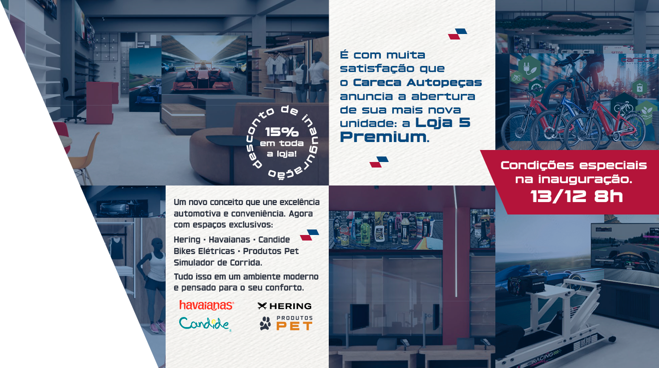 Autopeças, Hering, havaianas, Candide